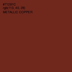 #71281C - Metallic Copper Color Image